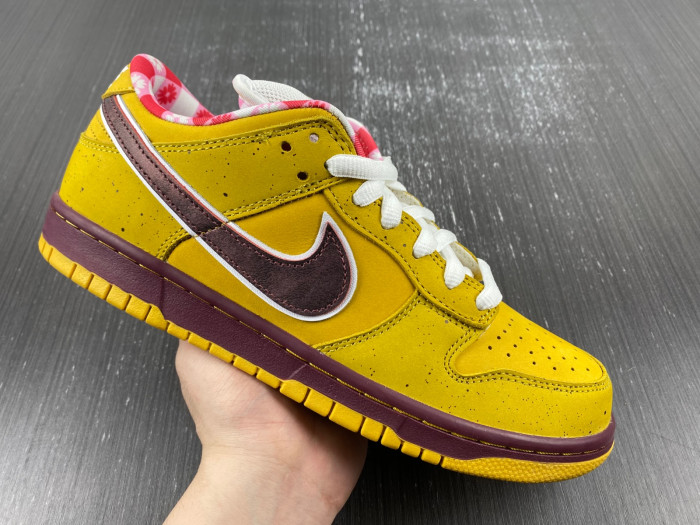 nike sb dunk low yellow lobster 313170-137566