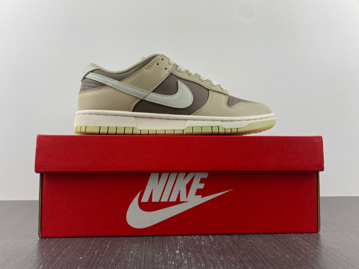 nike dunk low fb4961-012