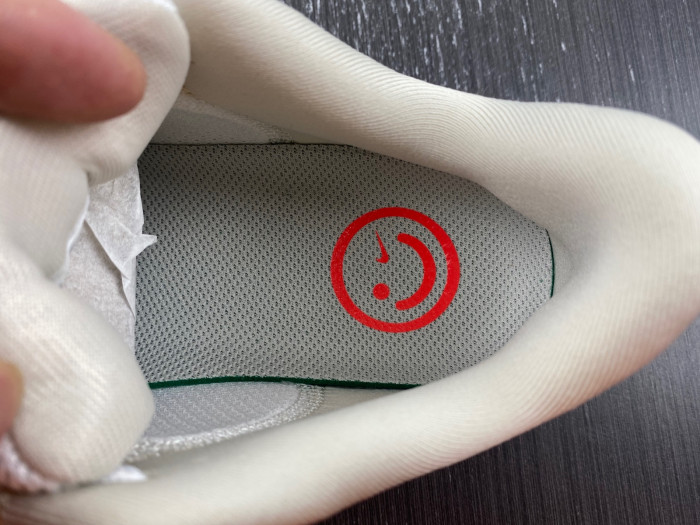 air zoom pegasus az0824