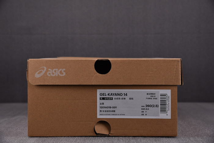 ASICS sneaker 1201A019-109
