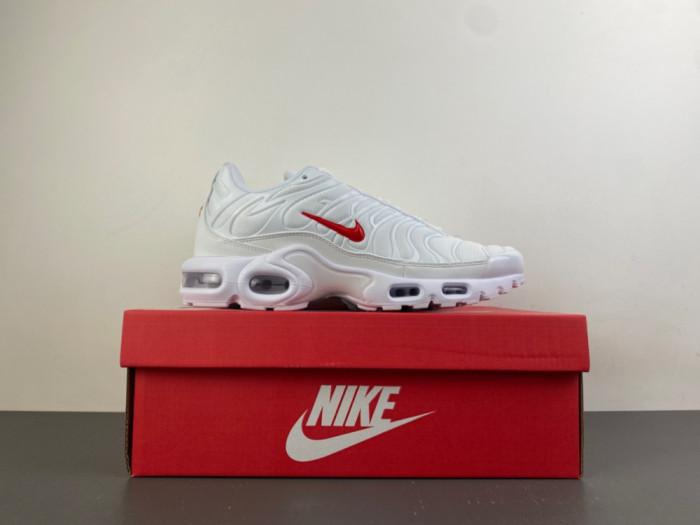 Nike Air Max Plus TN 