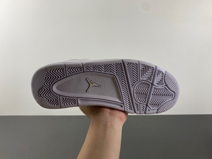 Air Jordan 4 NET “White” FN7251-107
