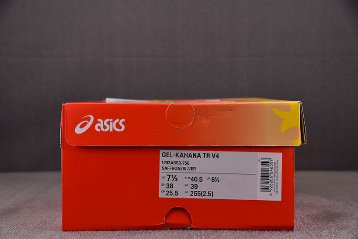 ASICS sneaker 1203A653-750
