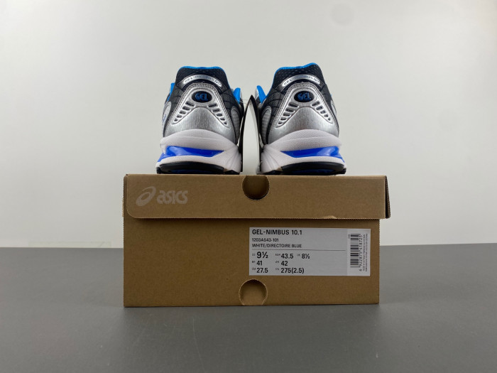 ASICS sneaker 1203A543-101