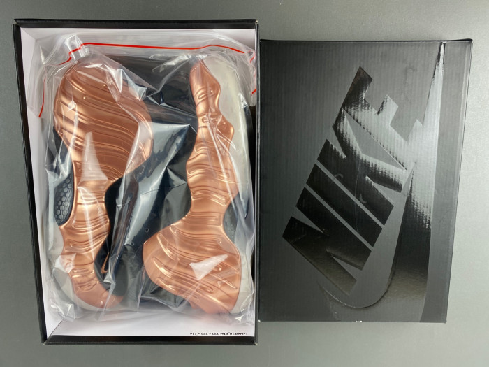 Nike Air Foamposite One Copper 2024 FZ9902-001